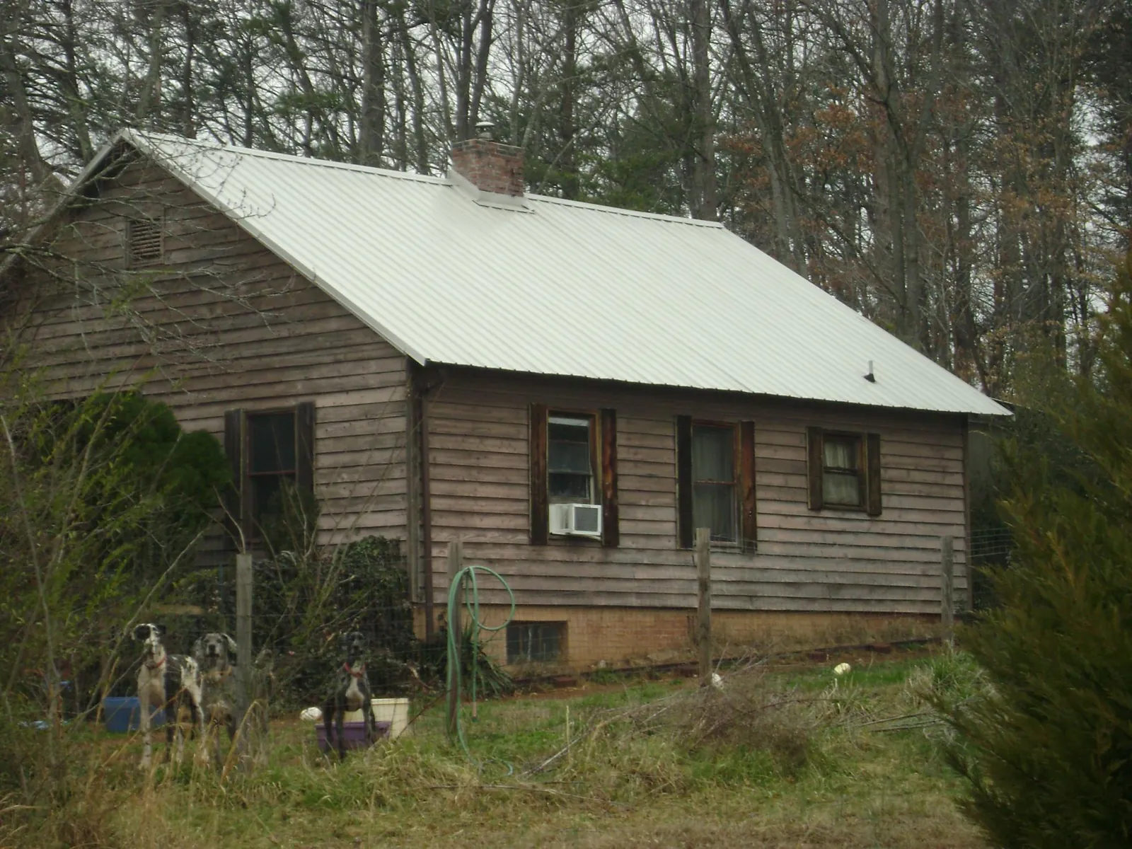 White metal roof on an old wood sided farmhouse, from a Asphalt Shingle Roof Repair job in Craigsville